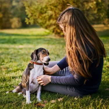 Hund mit seinem Besitzer im Freien
