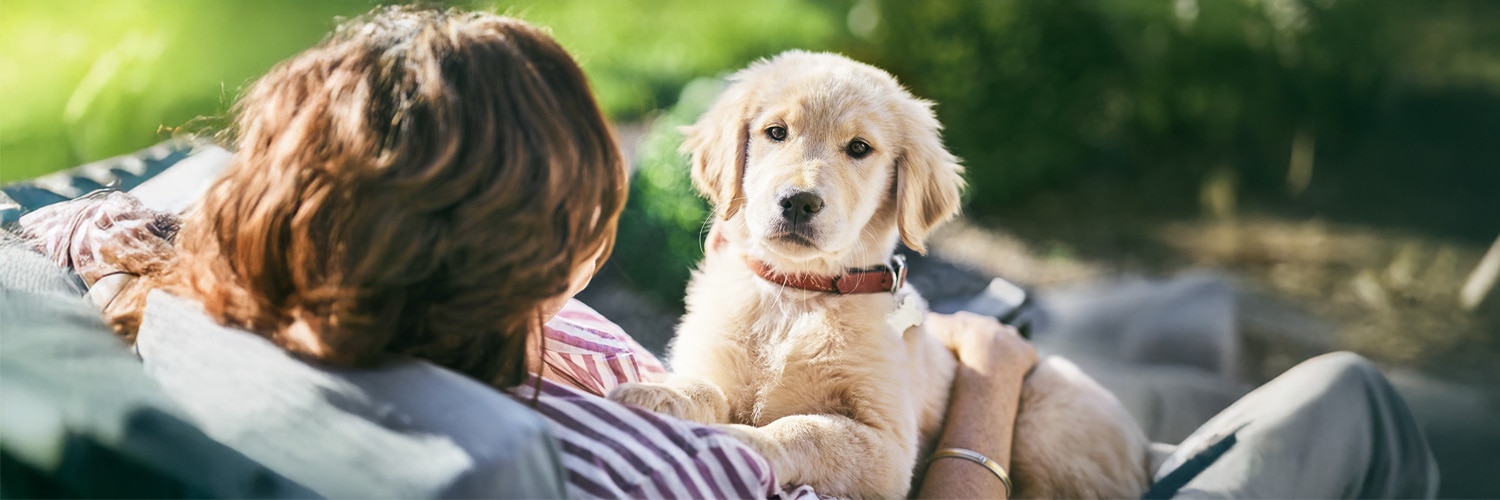 Frau sitzt da und umarmt ihren Hund