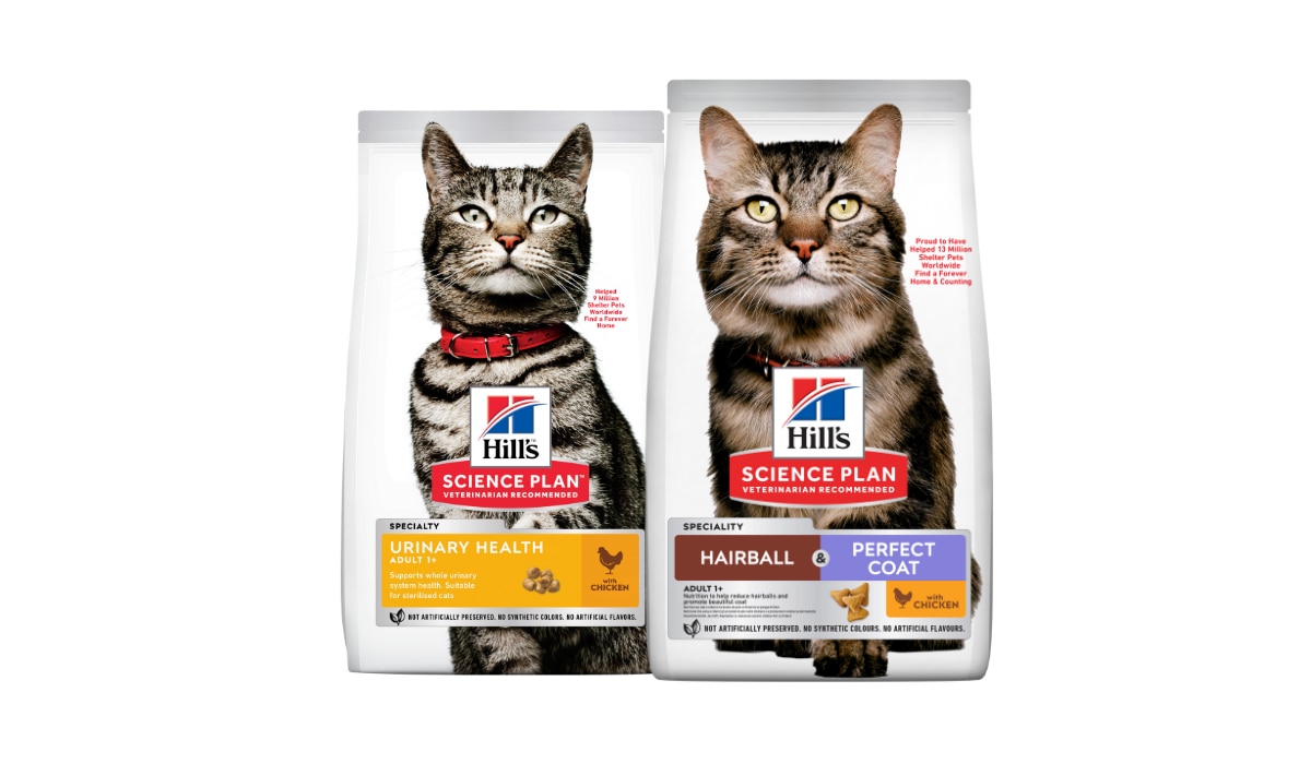 Alimenti per gatti Science Plan Urinary, Oral & Hairball Perfect Coat