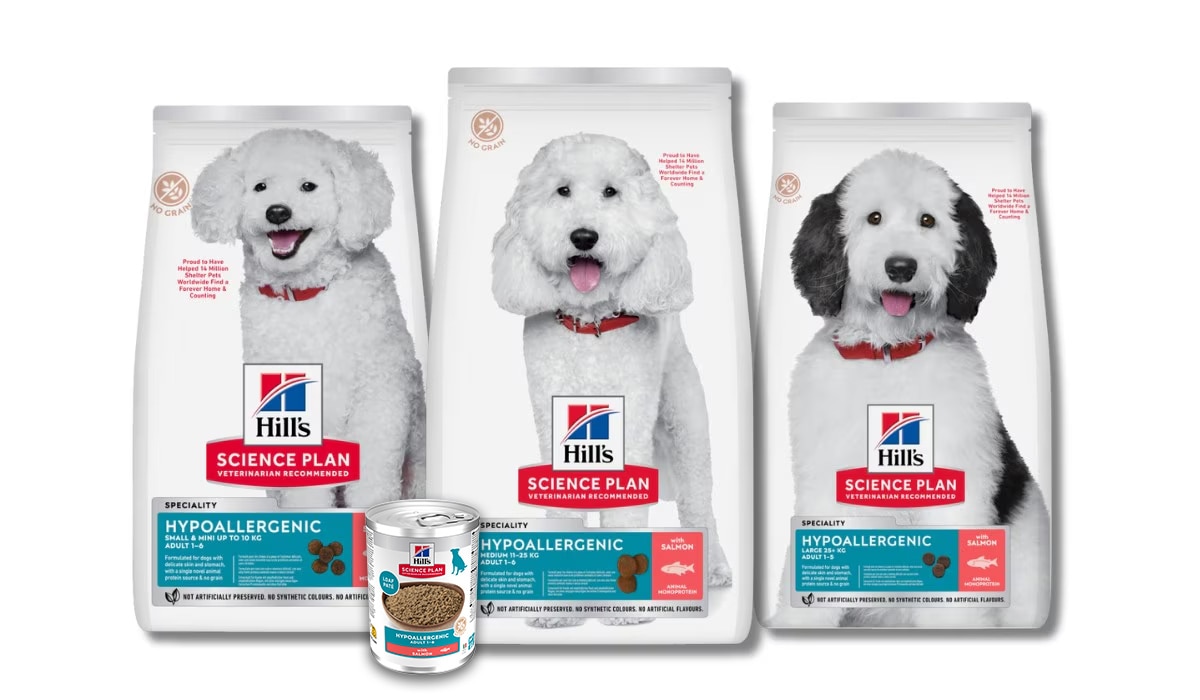 Hundefutter ohne Mais, Weizen oder Soja