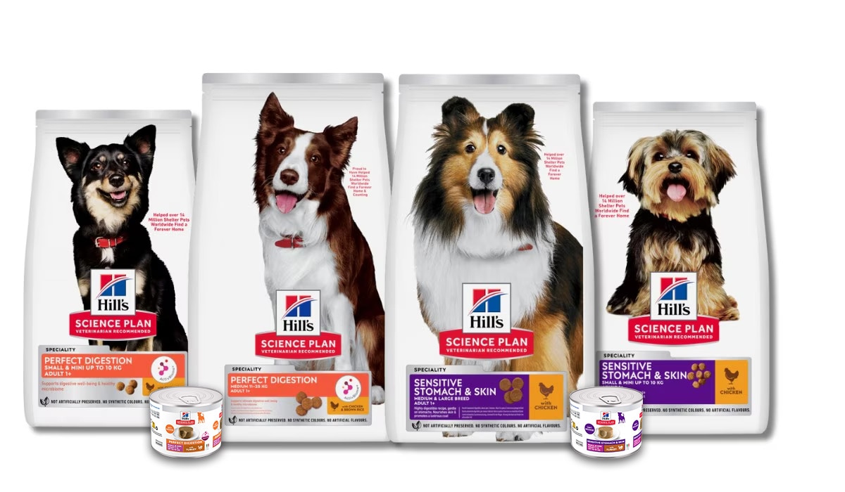 Hundefutter für eine gesunde Verdauung