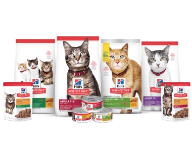 Selection of Science plan cat diets in bags, cans and pouches