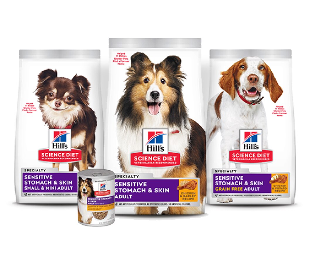 Digestive health dog foods