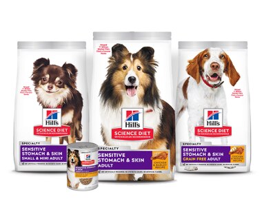 Digestive health dog foods